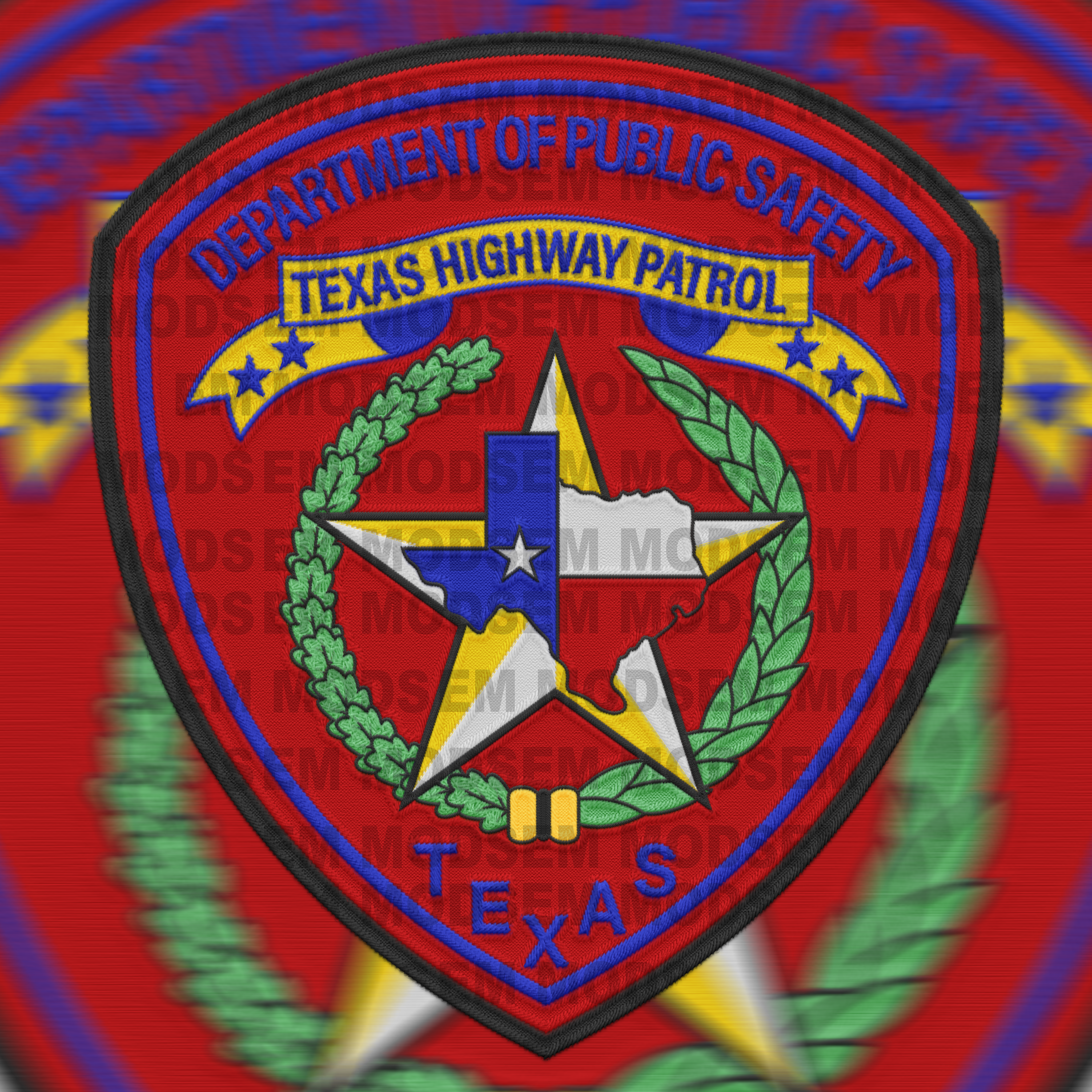 Texas Department of Public Safety 