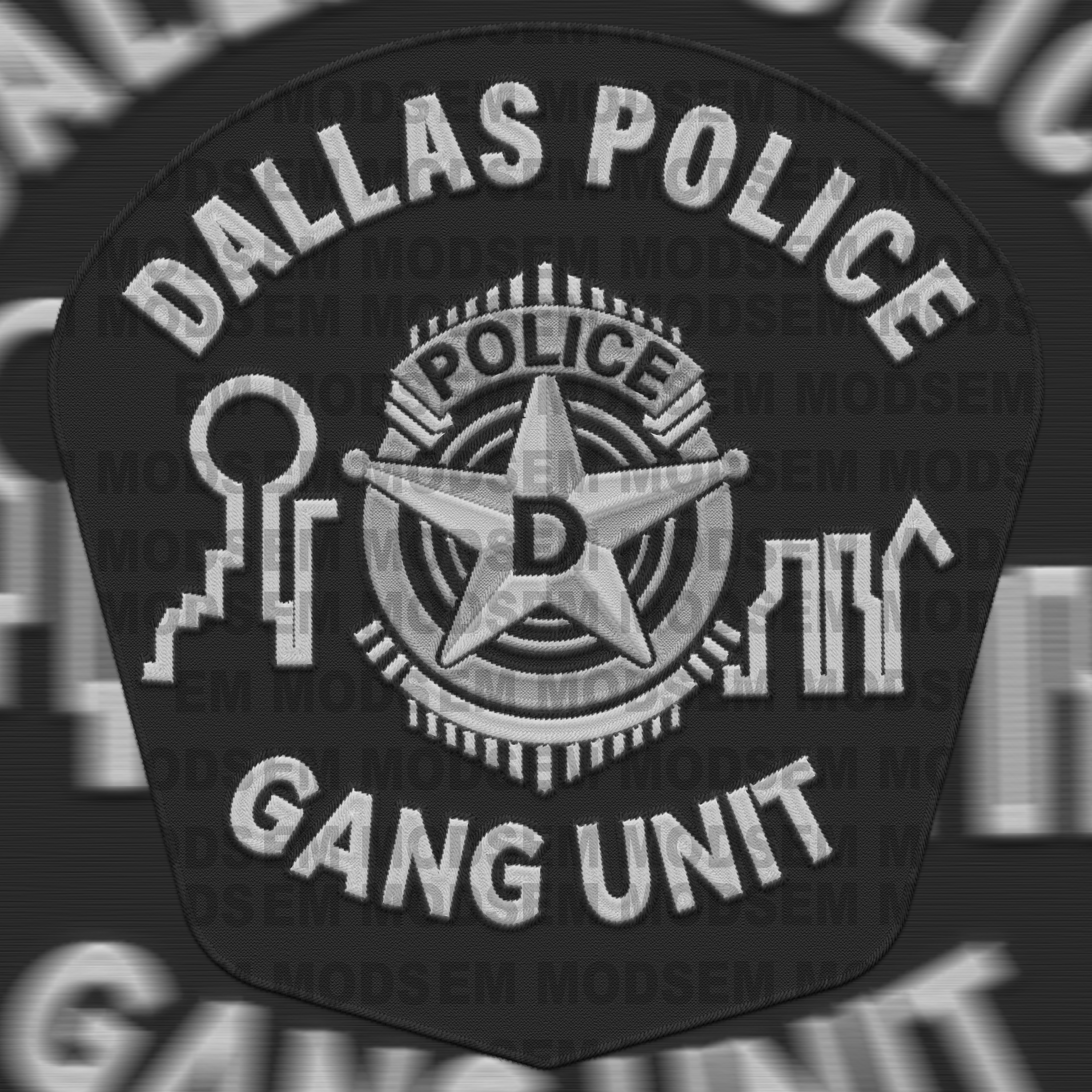 Dallas Police Gang Unit
